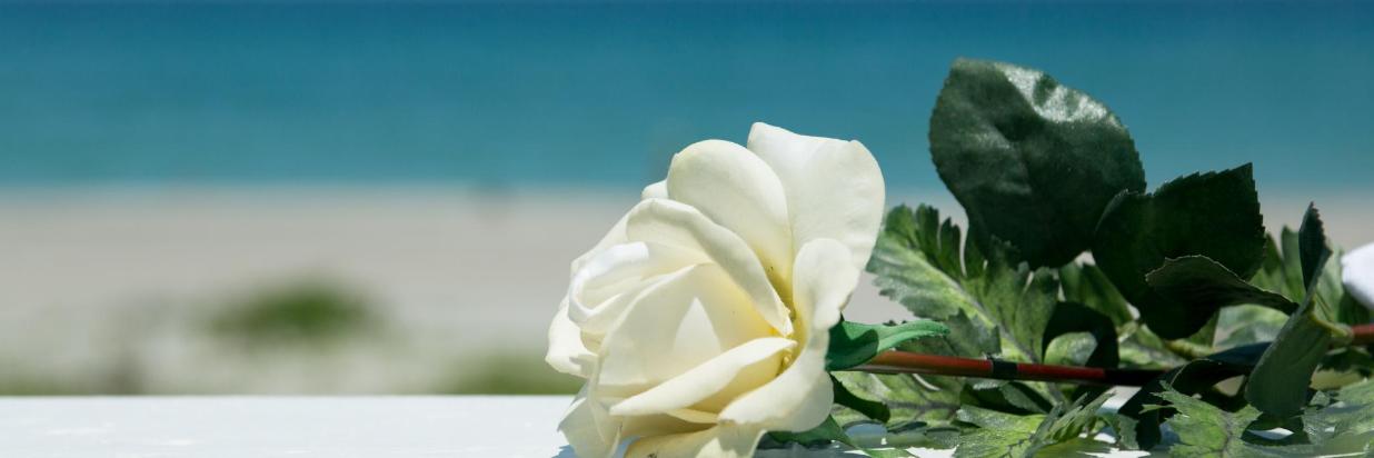 Windemere Inn by the Sea, Offers, Romantic Beachfront Elopement Package